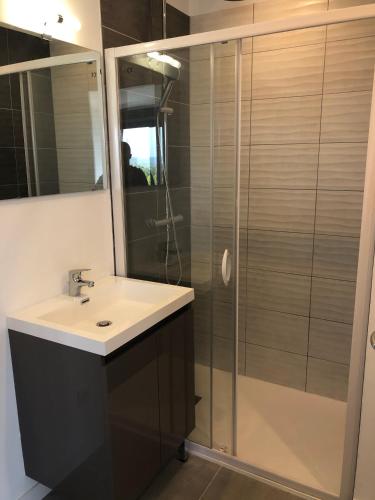 une salle de bain avec un lavabo et une douche dans l'établissement LA CASA DE FRANCOIS, à Oraison