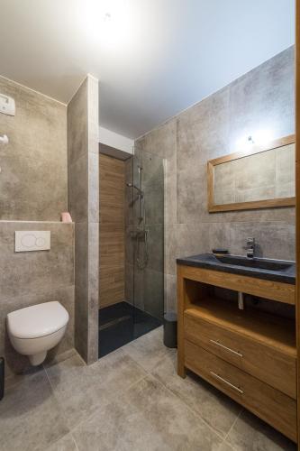 une salle de bain avec toilettes, douche et lavabo dans l'établissement ODYSSEE CRC01 Appartement traversant sur les pistes, à La Toussuire