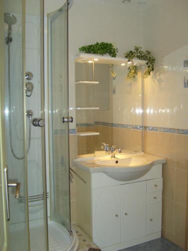 La salle de bains est pourvue d'un lavabo et d'une douche. dans l'établissement GITE MASKALI, à Thenon