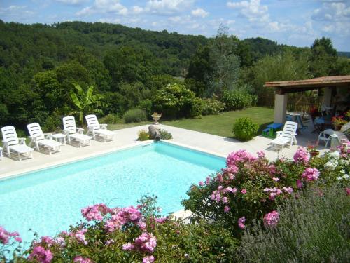 - une piscine avec un bouquet de chaises et de fleurs dans l'établissement GITE MASKALI, à Thenon