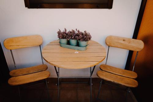 a table with two chairs and two potted plants on it at Apartamentos Maribel in Calaceite