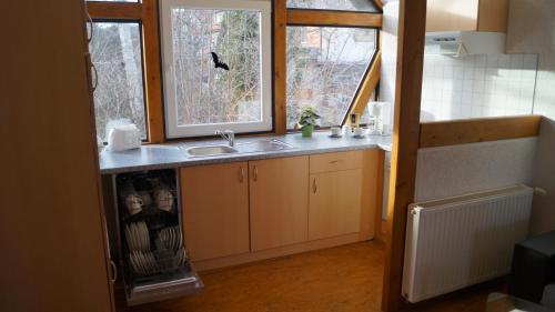 eine Küche mit einem Waschbecken und einem Fenster in der Unterkunft Harz-Chill Wernigerode in Wernigerode