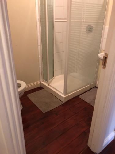 uma casa de banho com um chuveiro e um WC. em Lodge in Portumna Ireland em Portumna