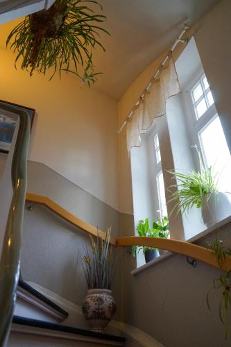 a staircase with two windows with plants on them at Wohnung in Lüneburg in Lüneburg