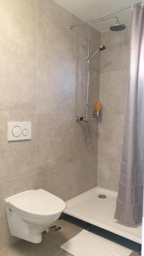 a bathroom with a toilet and a shower at Höfn Hostel in Höfn