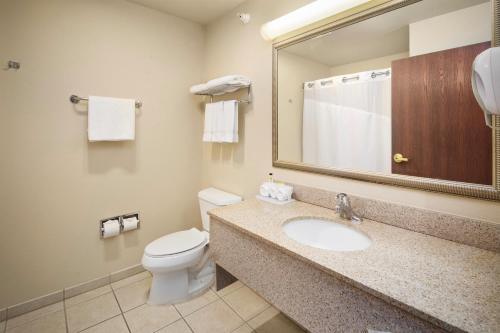 a bathroom with a toilet and a sink and a mirror at AmericInn by Wyndham Hill City Mt Rushmore in Hill City