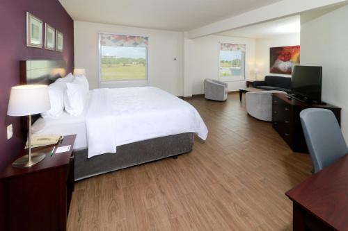 Un pat sau paturi într-o cameră la Holiday Inn Reynosa Industrial Poniente, an IHG Hotel