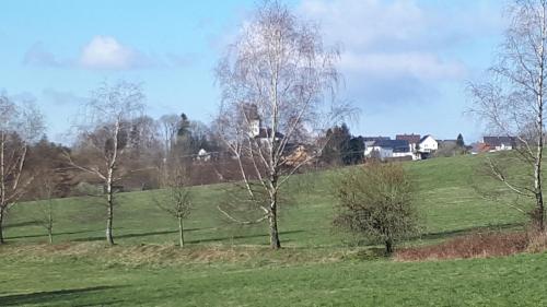 a green field with trees and houses on a hill at Ferienwohnungen! Kleine Bungalows mit Terrasse! in Stockhausen-Illfurth
