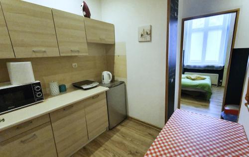 una cocina con encimera y microondas. en The apartment in strict city center. Self check-in en Cracovia
