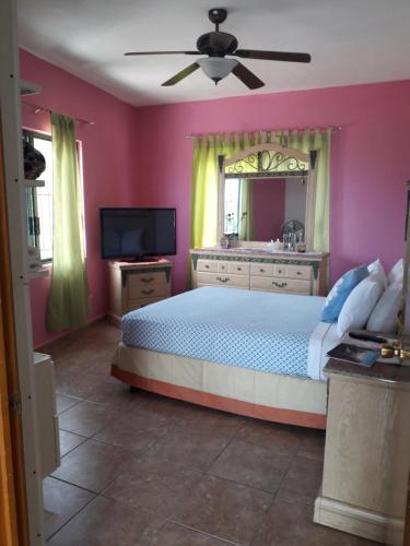 a bedroom with a large bed and a tv at Familia Sosa Suazo in San José del Cabo