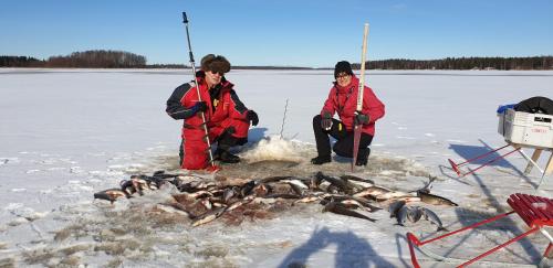 Villa SUNSET durante el invierno