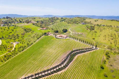 Aterno Vineyard, Guest House – Photos 2