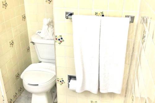 a bathroom with a toilet and a shower curtain at Spectacular Hadas Sunset and Ocean view in Manzanillo