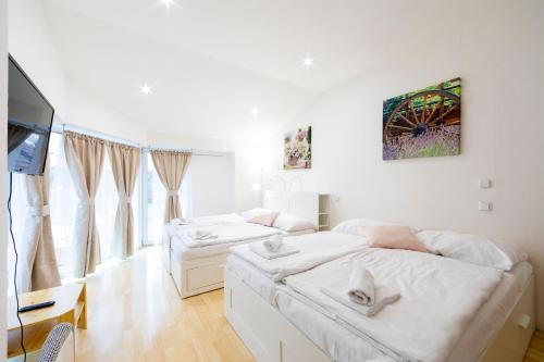 a bedroom with two beds and a flat screen tv at Penzion Vědomice in Vědomice