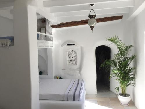 a white room with a bed and a potted plant at Mill.Space in Carboneras