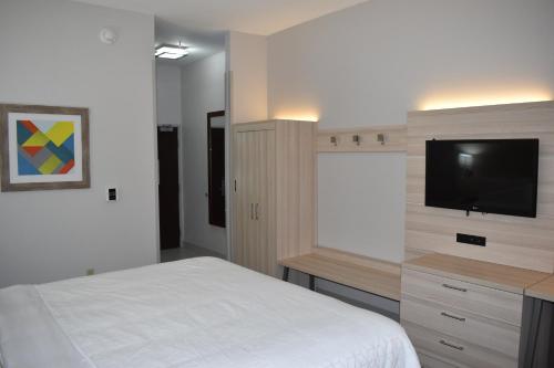 1 dormitorio con 1 cama y TV de pantalla plana en Holiday Inn Express Hotel & Suites McPherson, an IHG Hotel, en McPherson