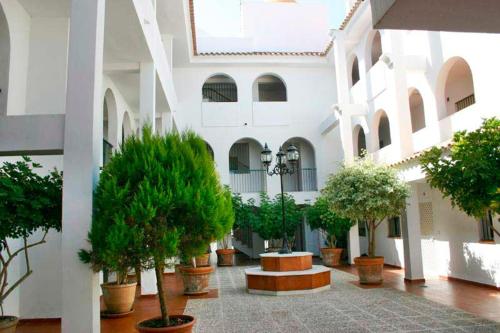 a courtyard with potted trees in a building at Dunas y Luz in Rota
