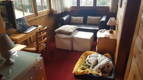 a living room with a dog sitting in a chair in a room at Chalet Aisha in Corbeyrier