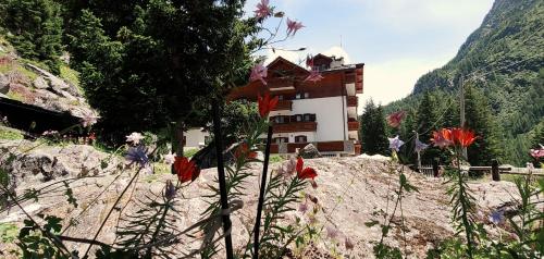 a building on the side of a mountain with flowers at Hotel Gembro in Chiesa in Valmalenco