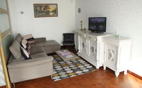 uma sala de estar com um sofá e uma televisão em Gîte les Hortensias em Boulleret