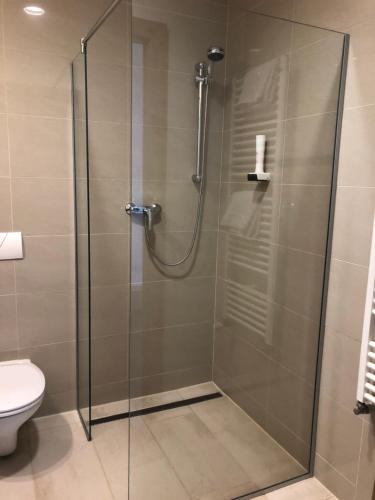 a shower with a glass door in a bathroom at Hotel Restaurant FIDI in Wolfsthal
