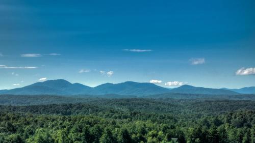 A Beary Nice View – Photos 2