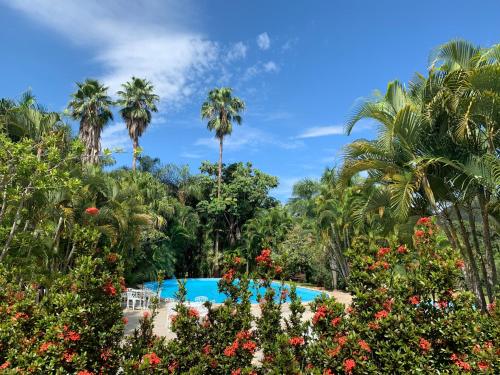 vista para a piscina do resort com palmeiras em Estalagem Alter Real em Pirenópolis
