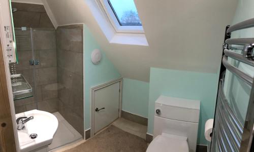 a bathroom with a toilet and a shower and a sink at The Annex, Manor Road, Didcot in Didcot