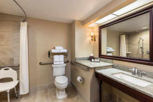 a bathroom with a toilet and a sink and a mirror at The Waterfront Inn in The Villages
