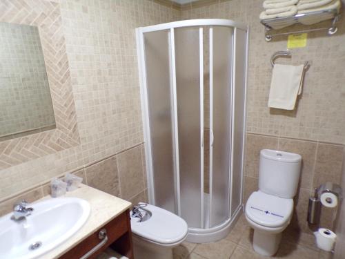 a bathroom with a shower and a toilet and a sink at Hostal Serruchi in Teruel