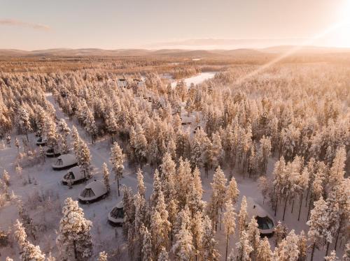 an aerial view of a forest with snow covered trees at Aurora Village Ivalo in Ivalo