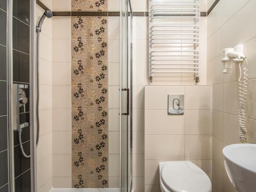 a bathroom with a shower and a toilet and a sink at Villa Magnat SPA, JACUZZI, SAUNA, TĘŻNIA SOLANKOWA in Białka Tatrzanska