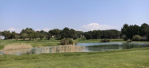 a pond in the middle of a golf course at Charmant T2 climatisé avec belle vue , Golf de Pont-Royal in Mallemort