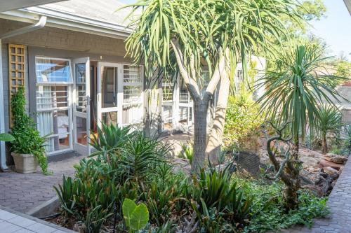 a house with a palm tree in the front yard at Aloe Manor in Oudtshoorn