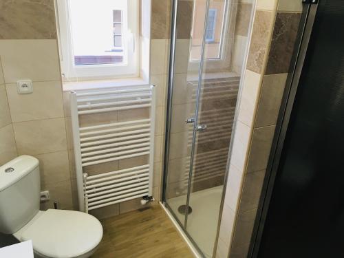 Koupelna v ubytování Apartmány Rychtaříkovi