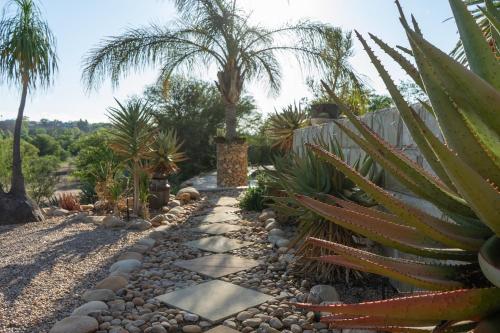 a garden with a pathway with cactus and rocks at Aloe Manor in Oudtshoorn