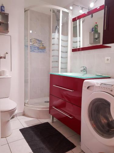 une salle de bain avec une machine à laver et un lavabo dans l'établissement Appartement Cabourg près de la plage, à Cabourg