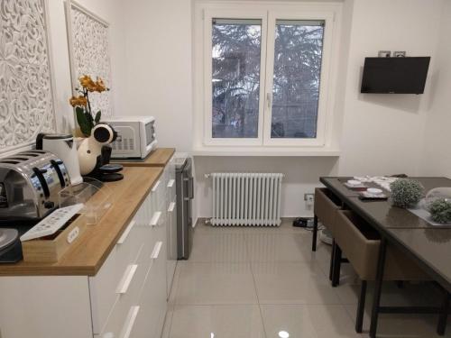 a kitchen with a counter top with a microwave at "La Selvetta" bed and breakfast in Buguggiate