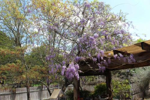 The Perch on Lake Travis – Photos 5