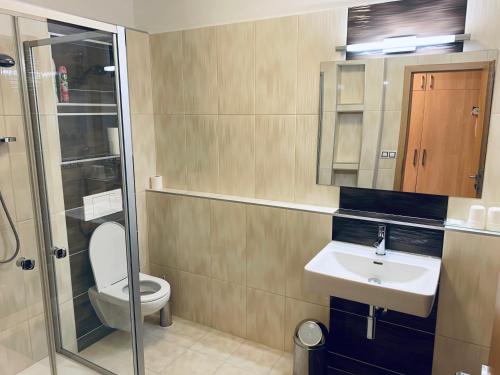 a bathroom with a toilet and a sink and a shower at Výšinka 719 in Turnov