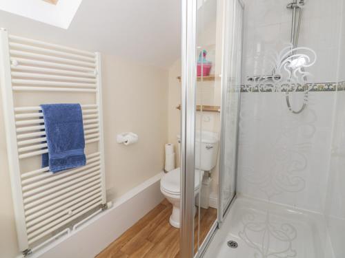 a bathroom with a toilet and a shower at Ash Cottage in Llandysul