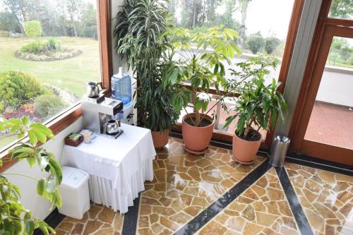 a room with potted plants and a table in front of a window at D'Acosta Hotel Sochagota in Paipa