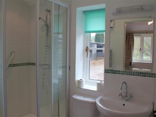 a bathroom with a sink and a shower and a mirror at The Tractor Shed in Shaftesbury