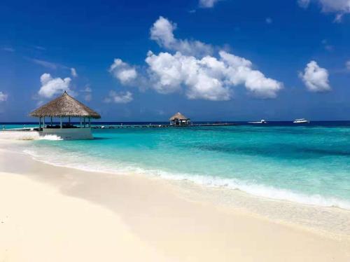 a beach with a hut in the middle of the water at Eriyadu Island Resort in Reethi Rah