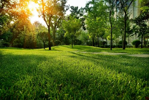 a park with green grass and trees and the sun at Sofitel Legend People's Grand Hotel Xi'an in Xi'an