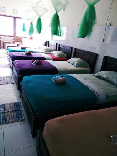 a row of beds lined up in a room at Volcano Living in Kintamani