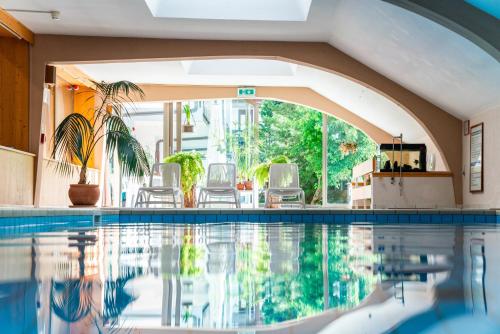 an indoor swimming pool with chairs in a house at Residence Lastei in San Martino di Castrozza