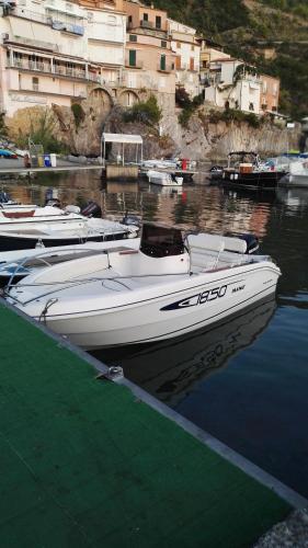 a group of boats are docked in a harbor at B&B La Torretta in Maratea