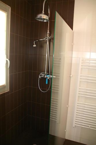 une douche avec pommeau de douche dans une salle de bain dans l'établissement Exclusive Villa with large terrace and pool, high standard beaches in walking distance, à Lège-Cap-Ferret