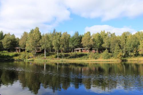 a view of a lake with trees and houses at Macdonald Lochanhully Resort in Aviemore